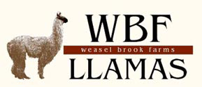 lrwbf.com WBF Llamas Logo